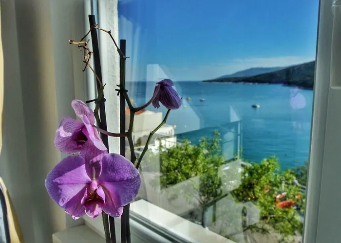 Studio Apartment More *